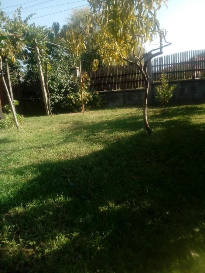 Къща За Гости Ягода Sapareva Banya Ngoại thất bức ảnh